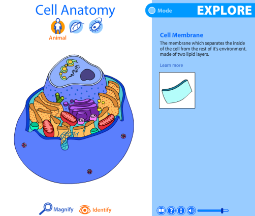 cell viewer 2