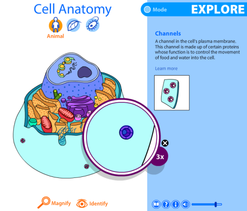 cell viewer 3