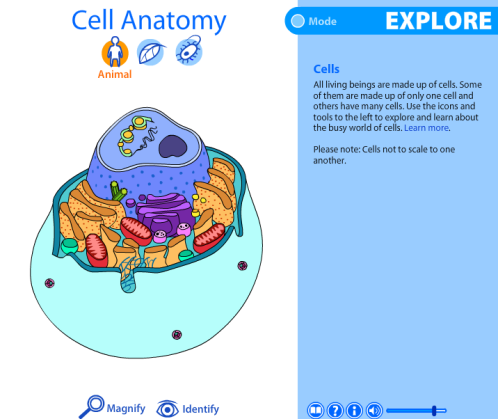 cell viewer