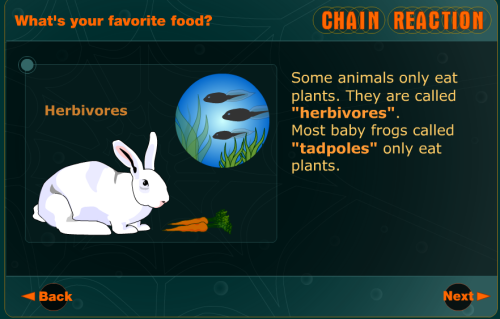 simulation food chain
