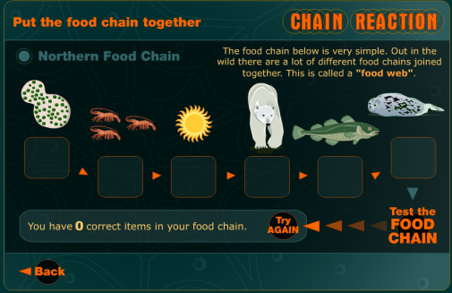 simulation food chain2