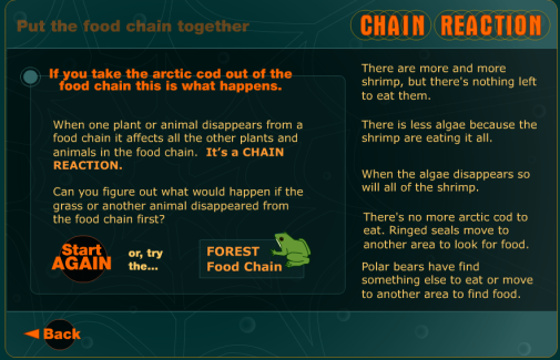 simulation food chain3